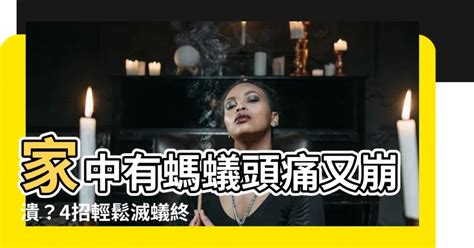 家中有螞蟻如何處理|家裡螞蟻很多怎麼辦？專家分享4招驅蟲妙方，不用殺。